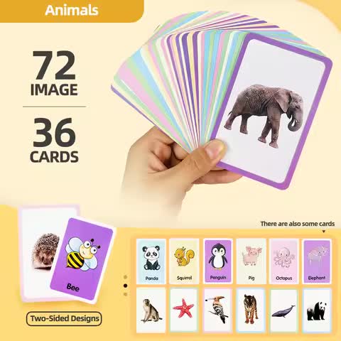 36 Double-Sided Animal Recognition Cards