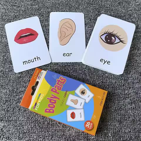 Animal Shape and Colour Flash Cards